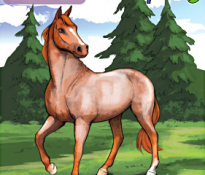 Name That Horse!  (Horse #1)