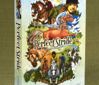 A Great Evaluation of Perfect Stride by WTS Toy Review