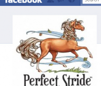 Perfect Stride is on Facebook